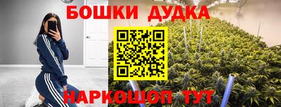 ешки Ставрополь
