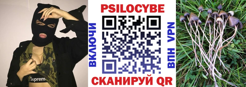 Галлюциногенные грибы Psilocybe  купить  сайты  Чистополь 