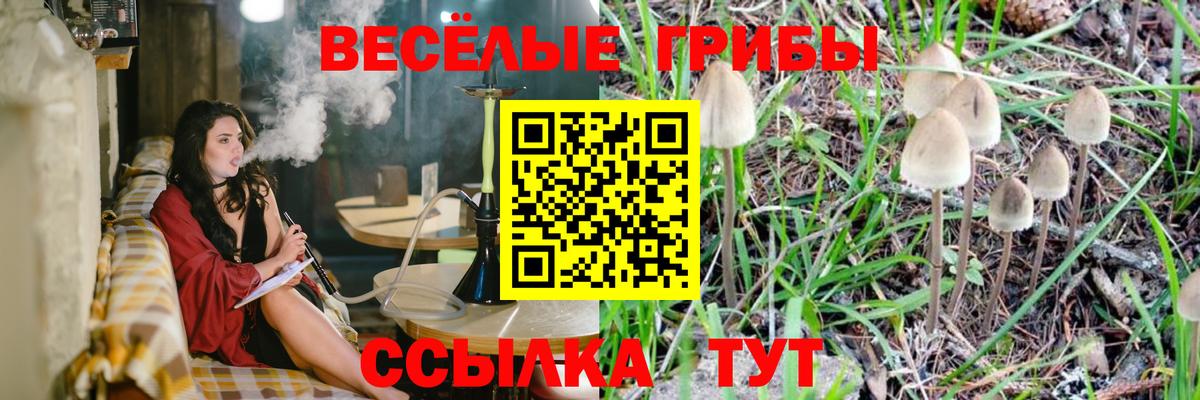 Чистополь  Псилоцибиновые грибы мухоморы  Вход с VPN 