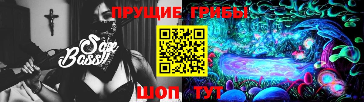 Галлюциногенные грибы Psilocybine cubensis Чистополь